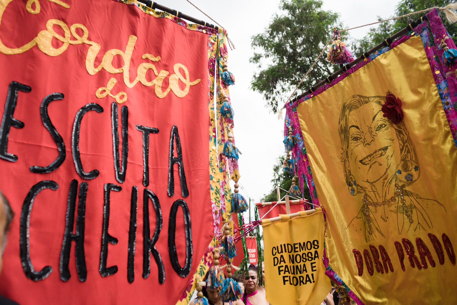 Cordão do Escuta o Cheiro — fotografia