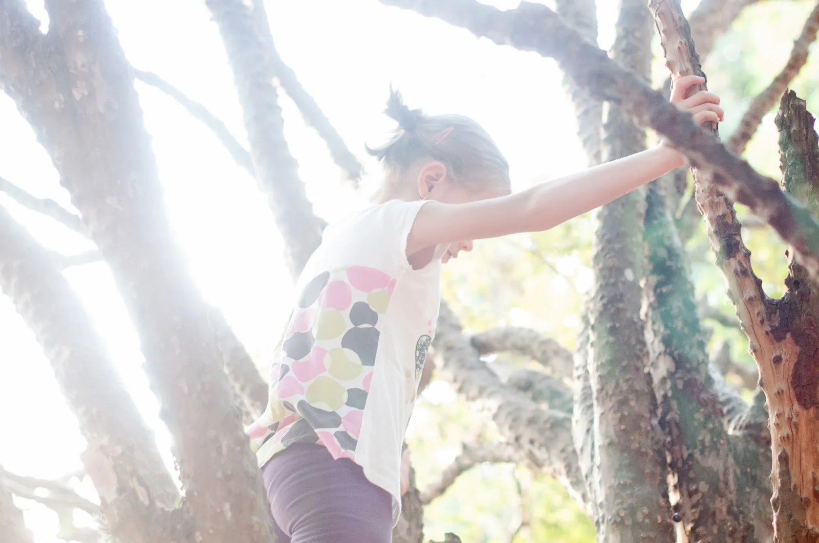 Último Tipo e Convidados!
