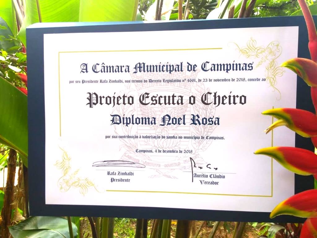 Diploma Noel Rosa — 2018